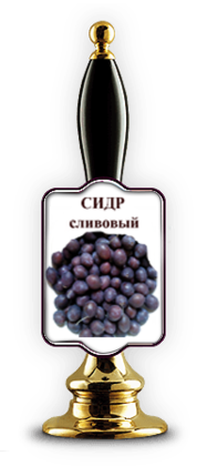 Сидр сливовый - фото